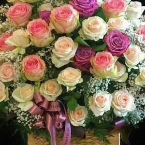 Meet your Posher, Rosa rlena